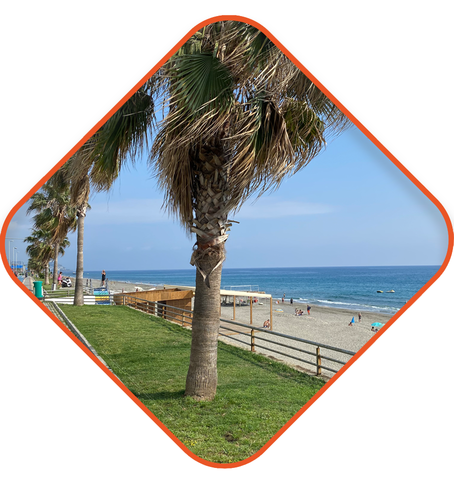Walker alanya-mahmutlar